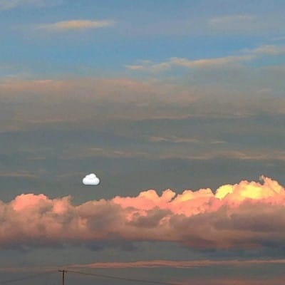 Juana Mercado avatar